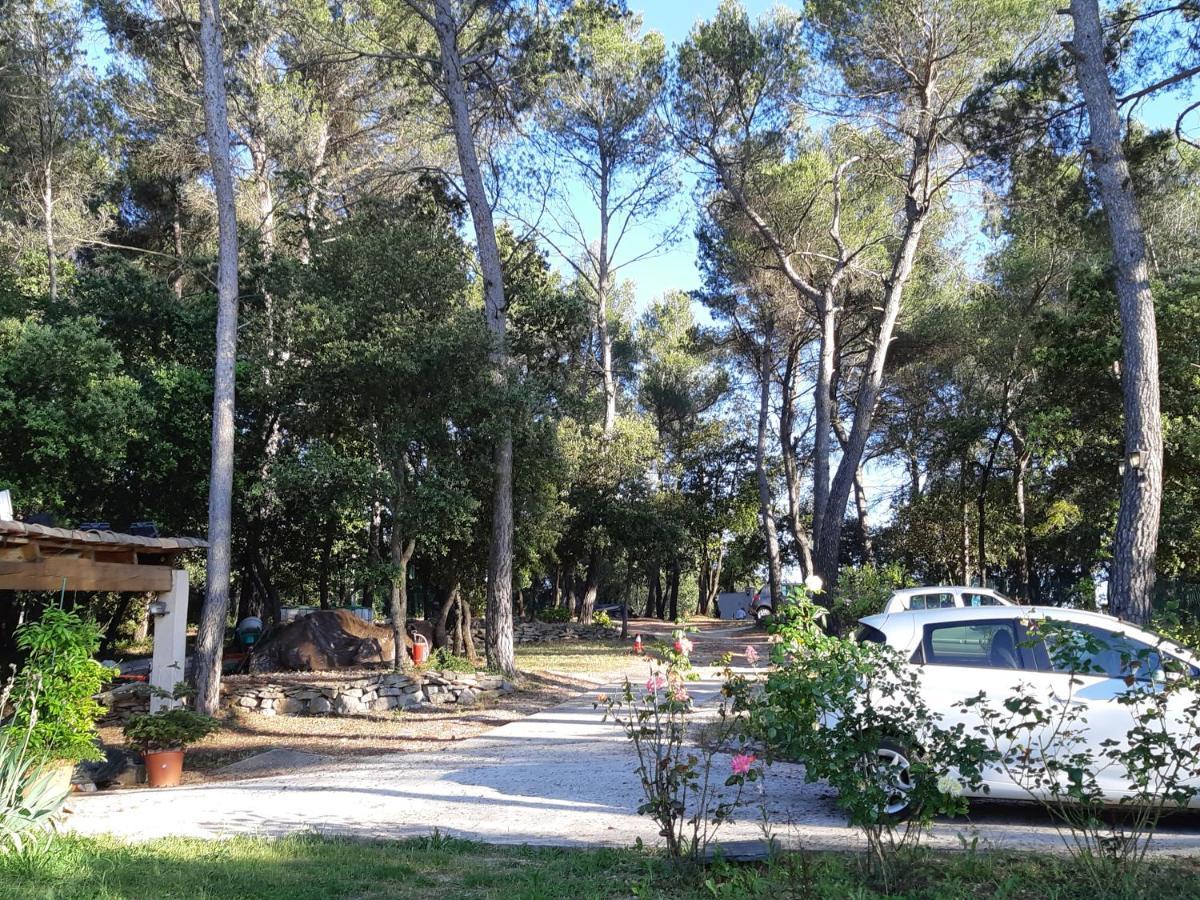 Villa La Licorne Piscine Privee, Jacuzzi, Massages, Tennis, Golf A 9Km Belcodene Luaran gambar
